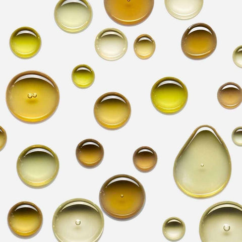 V5HC2EDA596055086BEDF1B9808C5BACBDAR7719822P4