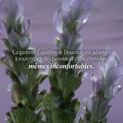 V3H6FE93F360CC17D9D2443F1F8713E4E6AR6240511P3