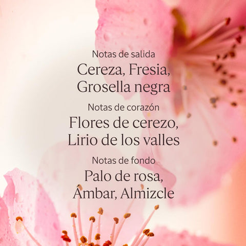 V2H029D432E27B76117FA4CEDA3B627E7A3R7407089P4