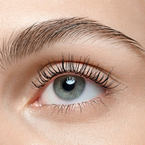 V2HFFE65F80C6BEFD01FB66FC76A8DA5799R7612504P10