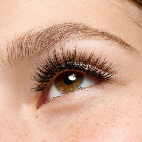 V4H9384A88041BE745748E3F28D7E80E6B6R7435080P6