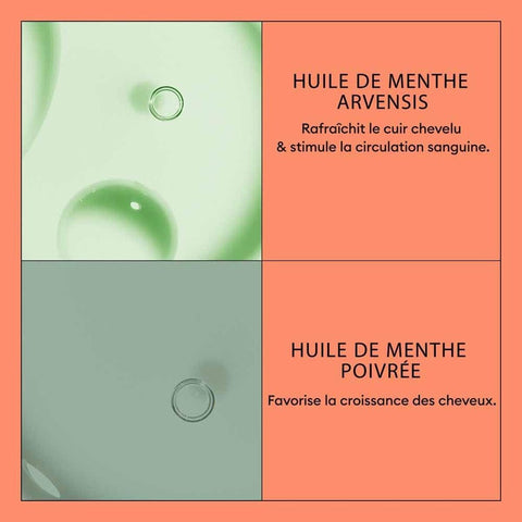 V4HB60406545DEAD6573675A20B29B1212DR7509610P4