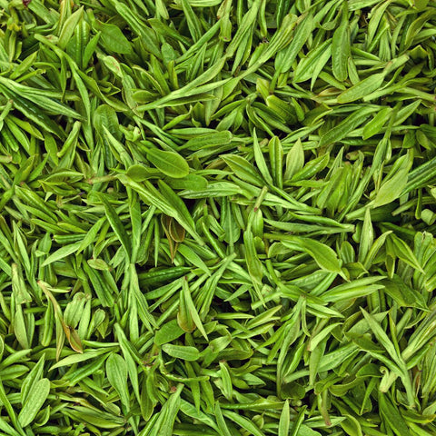 V4HBCCF08A7B6C51CE662EB118101429E1CR7420697P5