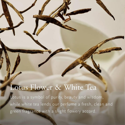 V2HD4D182287978BA968C7722BE402713ACR7425033P3